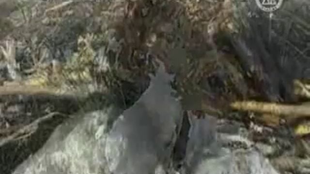 Про Алтай и алтайский шаманизм смотреть онлайн