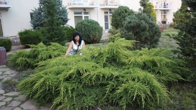 Наше прекрасное лето! Каникулы! Отдых! Камила и Каролина Щербинины. смотреть онлайн