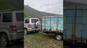 Кочевка  пасеки  Перевозка пчел  Прицеп и тележка   для перевозки пчел