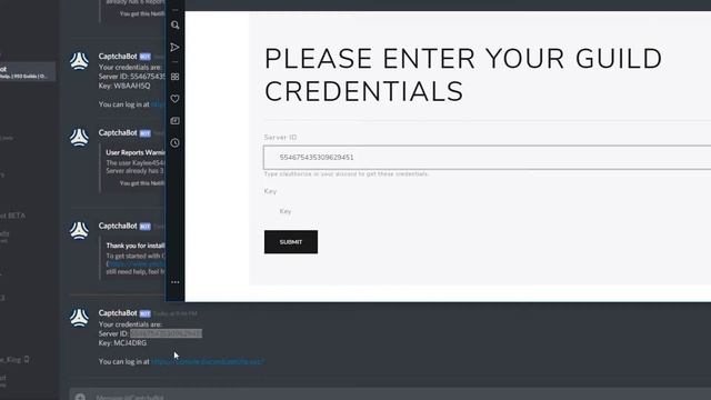 CaptchaBot Basics - Using the Web Interface | Remote Discord Server Management смотреть онлайн