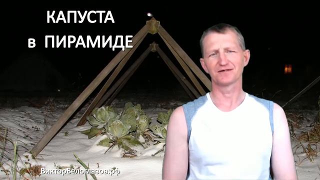 Капуста в Пирамиде. Виктор Белоглазов | Pyramids смотреть онлайн