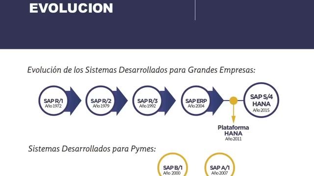 CURSO SAP Desde Cero - (INTRODUCCIÓN A SAP) смотреть онлайн