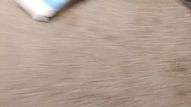 My Walt Disney Clamshell Vhs Collection Part 3