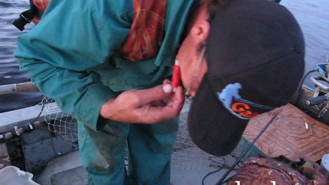 Как самостоятельно сделать поролоновую рыбку. смотреть онлайн