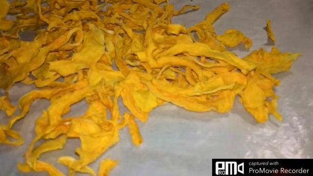 Руководство к Искусству