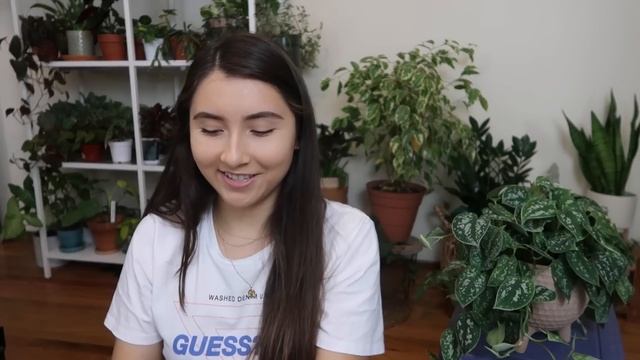 Scindapsus Pictus Full Care Guide + Propagation | Exotica Vs. Argyraeus