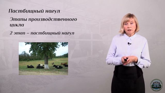 7 4 Пастбищный нагул смотреть онлайн