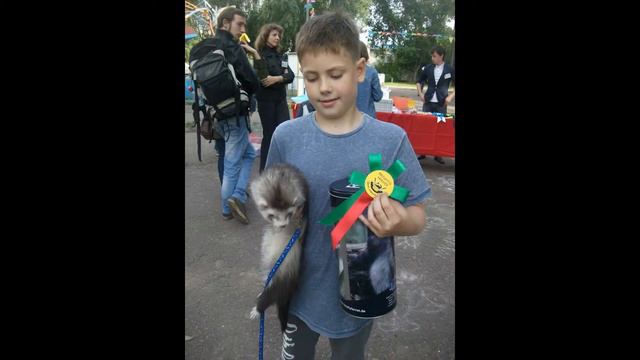 ДЕНЬ ХОРЬКА . г. Омск. 2015 г. смотреть онлайн
