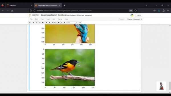 Build Custom Image Search Engine in Python | DeepImageSearch Library | Gradio app | Applied ML Vide