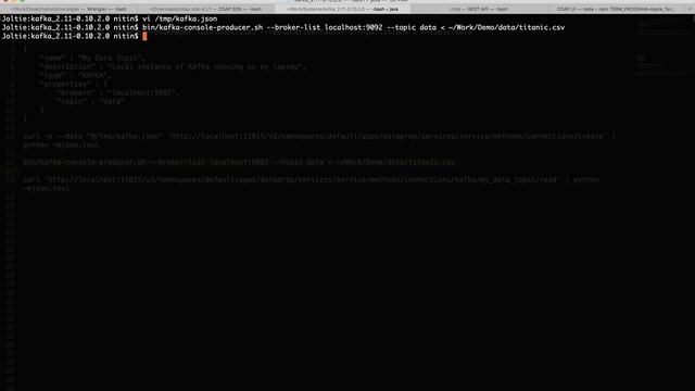 Learn CDAP: [SCREENCAST] Reading from Kafka into Data Prep смотреть онлайн