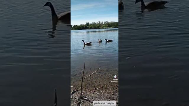 райское озеро!. смотреть онлайн