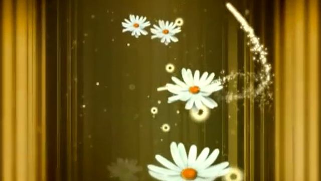 Ромашки Background 3 футаж смотреть онлайн