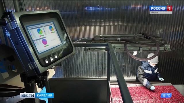 Дикоросы в Карелии смотреть онлайн
