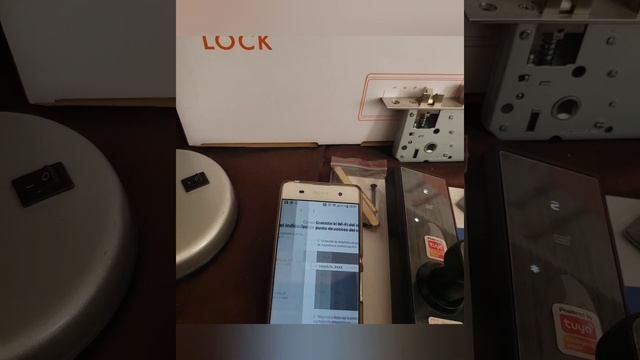 Configuración Completa De La Cerradura Inteligente WIFI TUYA SMART X1