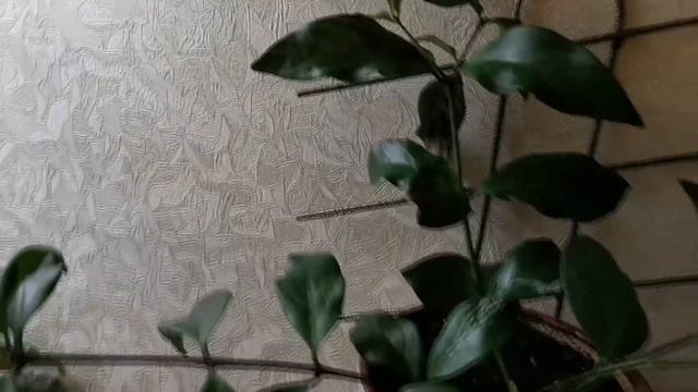 Видео 19. Переезд хой смотреть онлайн