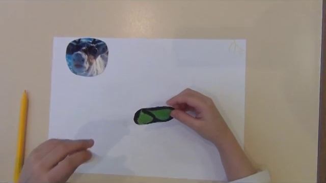 скрайбинг презентация "Северный олень" смотреть онлайн