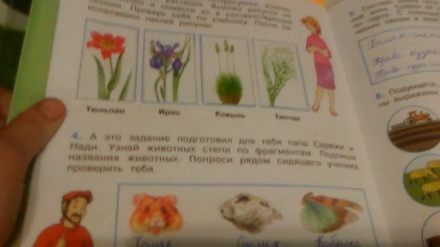 Рабочая тетрадь по окружающему миру страница 53-56 ,,Зона степей,, смотреть онлайн