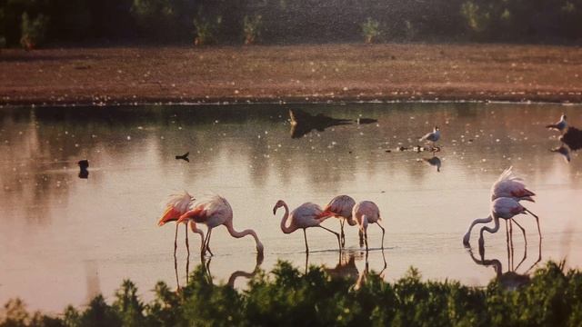 Стой в вере/Sei fest im Glauben - 1. Korinther 16:13-15 смотреть онлайн