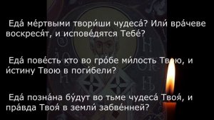 НА ЗАЩИТУ ЖИВОТНЫХ. ПСАЛМЫ