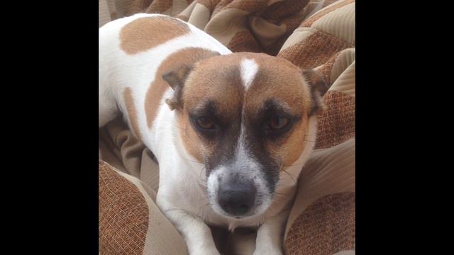 Приветствие Канала Miss Juliet! смотреть онлайн