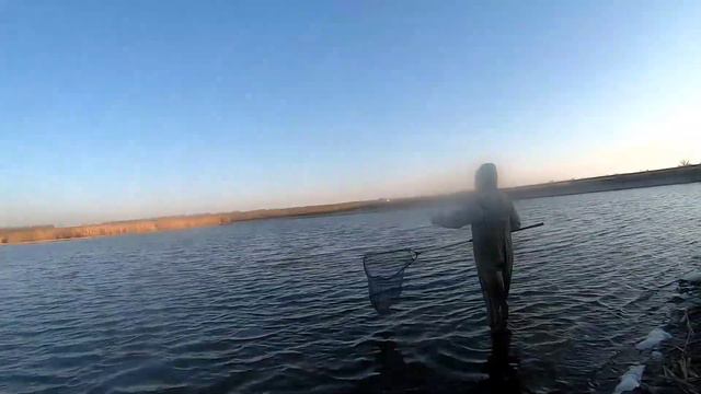 Моя рыбалка ноябрь 2019. Порвал полуася. смотреть онлайн