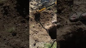Самый быстрый способ легко и просто вырыть яму без бура