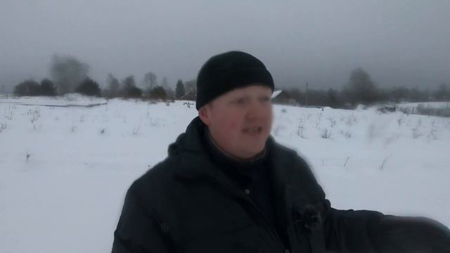 Как получить плантацию голубики без вложений. смотреть онлайн
