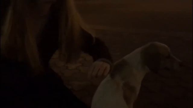 My best friend is the sun смотреть онлайн