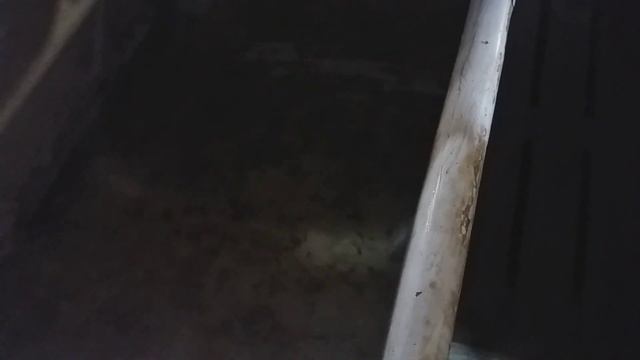 Решение проблемы с выращиванием малька африканского сома смотреть онлайн