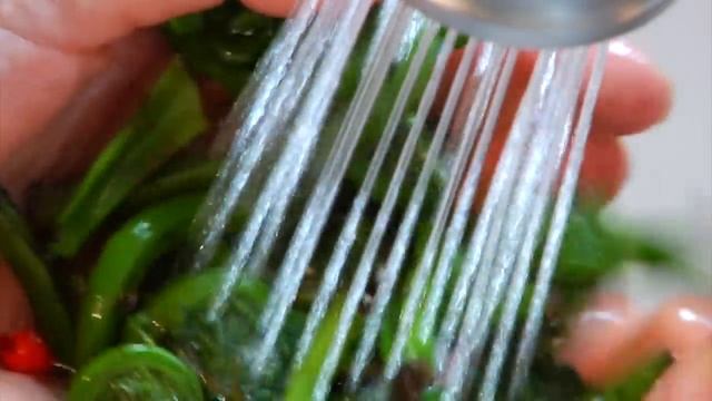 Fiddlehead Ferns 101 - Everything You Need to Know смотреть онлайн