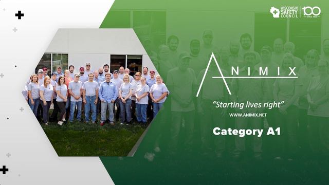 Animix LLC | 29th Annual Wisconsin Corporate Safety Awards (A1) смотреть онлайн