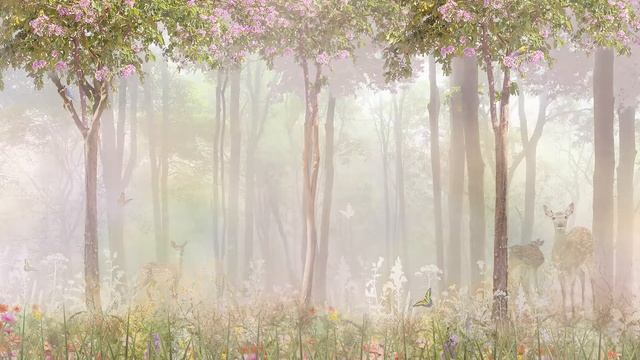 Создание изображений для фресок и фотообоев смотреть онлайн