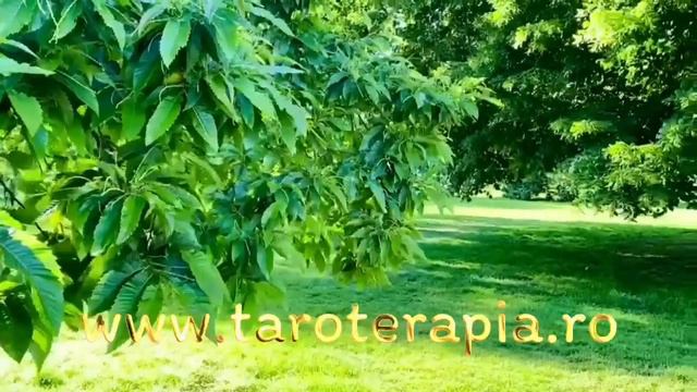 CE GÂNDURI ARE PERSOANA CARE TE INTERESEAZĂ?❤️🔥TAROT INTERACTIV IUBIRE (RELAȚII)🔮 смотреть онлайн