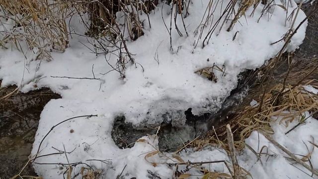 Свидание ?? с лесным ручейком. смотреть онлайн