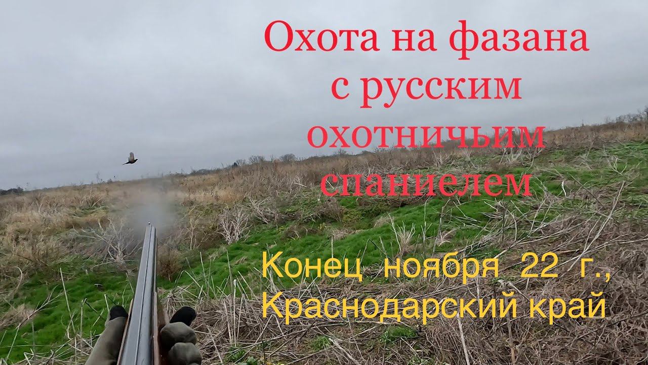 Вырвались на выходные поохотить фазана в КК. 2500 км за двумя петухами (( смотреть онлайн