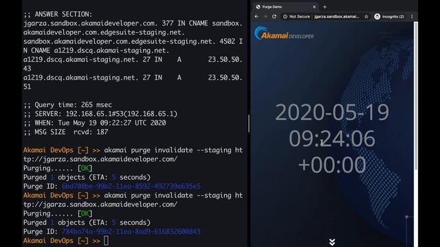 Set Up your Akamai Development Environment / Akamai Docker in 5 minutes смотреть онлайн