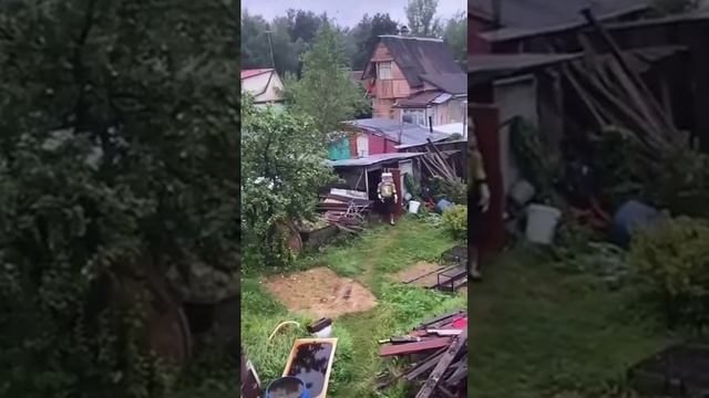 Видео,приколы,юмор,смех смотреть онлайн