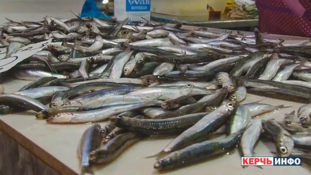 Особенности отдыха. Питание в Керчи. Азовское море смотреть онлайн