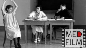 Параноидный, кататонический, гебефренический, парафренный синдромы. Шизофрения © menthal diseases