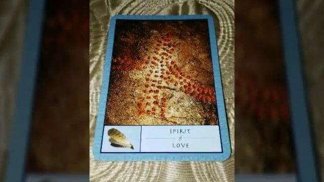The Shaman's Oracle cards смотреть онлайн