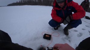 Окунь в феврале