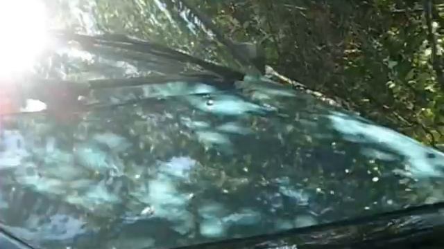 Дедушка и внук снимают видео о похищении авто смотреть онлайн