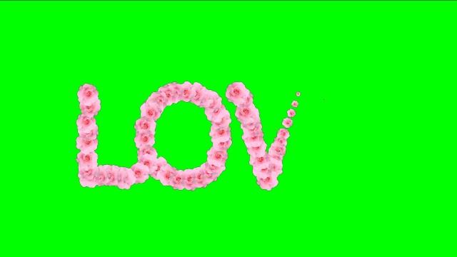 День Святого Валентина Надпись LOVE Хромакей футаж на зеленом фоне # 2 смотреть онлайн