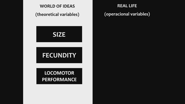 QBio Program: Glauco Machado: Hypothesis-driven research - Class 3 смотреть онлайн