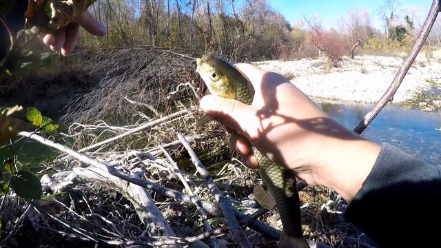 Рыбалка на горной реке! смотреть онлайн