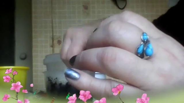 Цыкламены из семян. смотреть онлайн