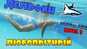 УПРАЖНЕНИЕ ДЛЯ КРОЛЯ LEVEL 3. _ЛЮБОПЫТНЫЙ ДЕЛЬФИН_ SWIMMING CRAWL
