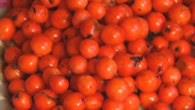 Винегрет с рябиной