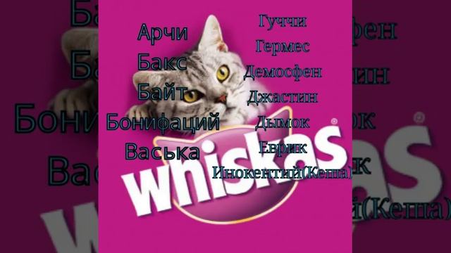 Как назвать котенка??? смотреть онлайн