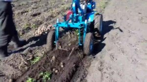Уборка картофеля грохотной картофелекопалкой, Нева МБ-2